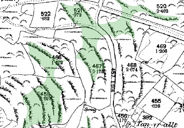 Fig. 3: AI labelling area of map incorrectly as woodland